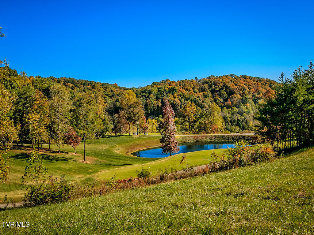 1226 Ridgetop Trail, Unit 8 Kingsport, TN 37664 - Photo 31 of 48 Crocket Ridge Golf Course Photos-21