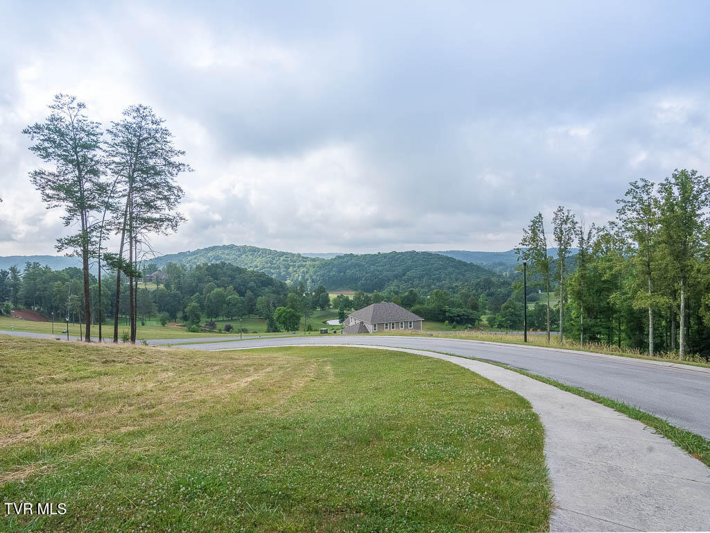 1226 Ridgetop Trail, Unit 8 Kingsport, TN 37664 - Photo 4 of 48 1226 Ridgetop Trail (lot 8)-3