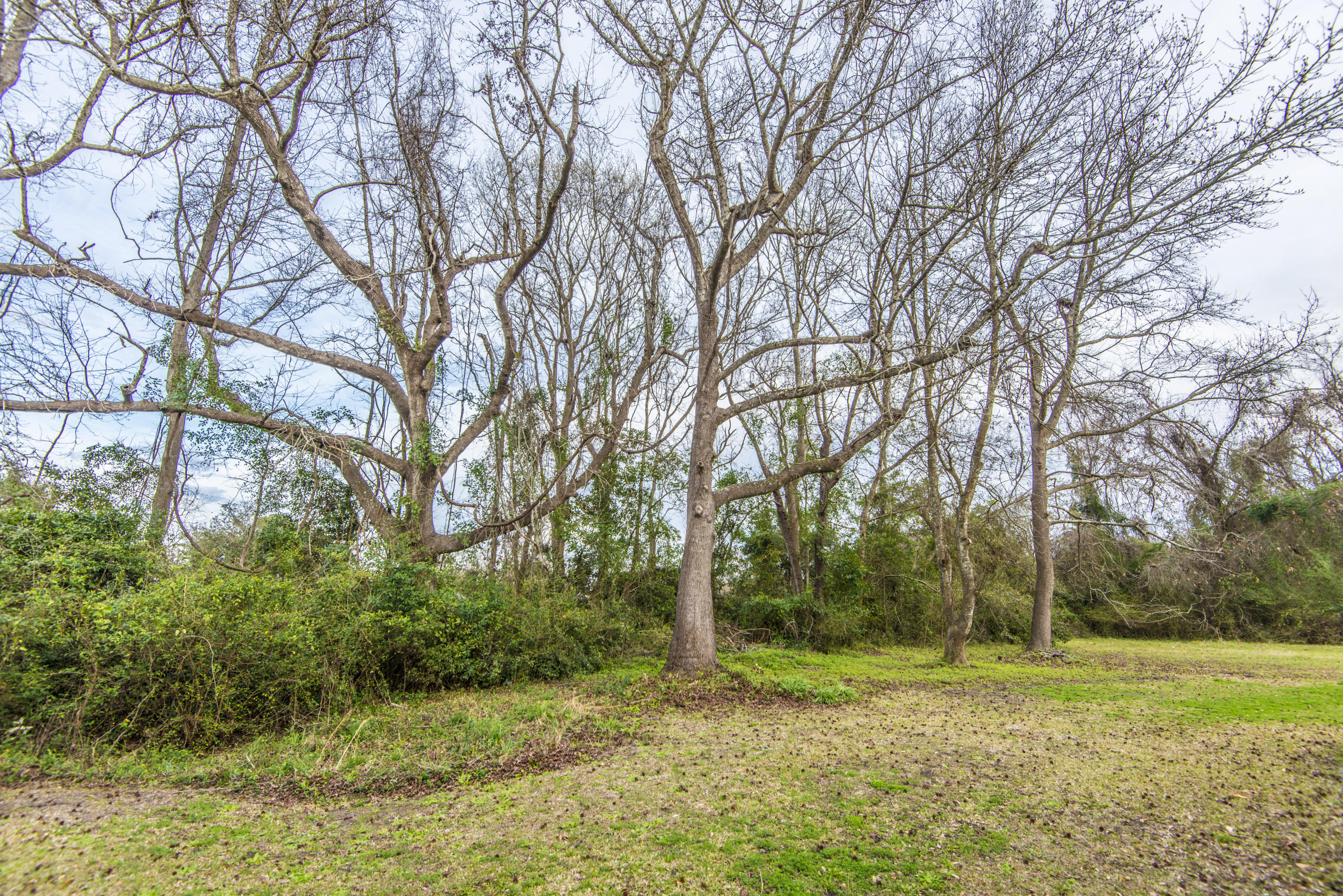 1549 Grimball Rd Extension Charleston, SC 29412 - Photo 35 of 35 _DSC5460