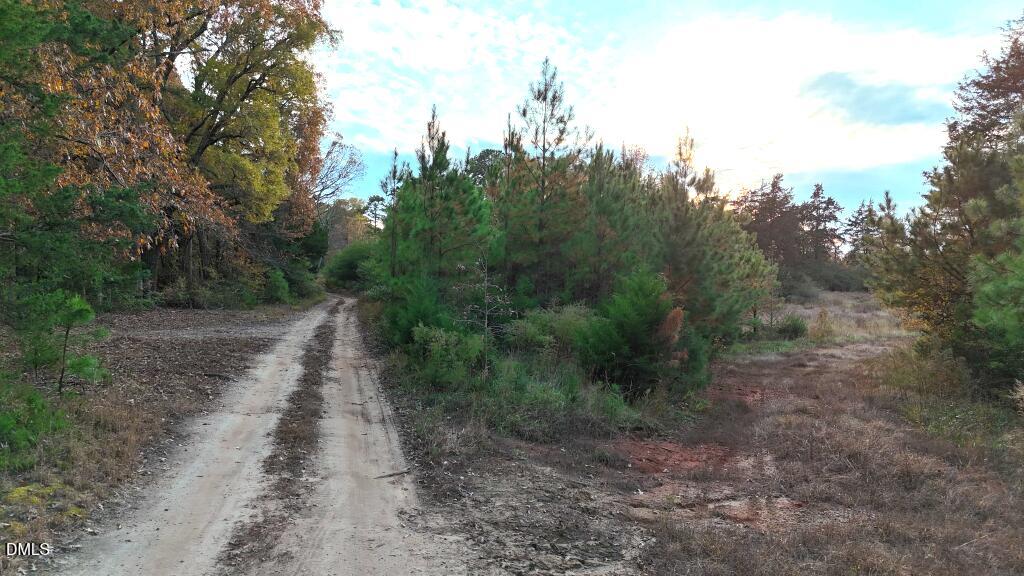 Lot 1 Cheeks Quarter Road Henderson, NC 27537 - Photo 5 of 18 a view of a dirt road with trees in the background