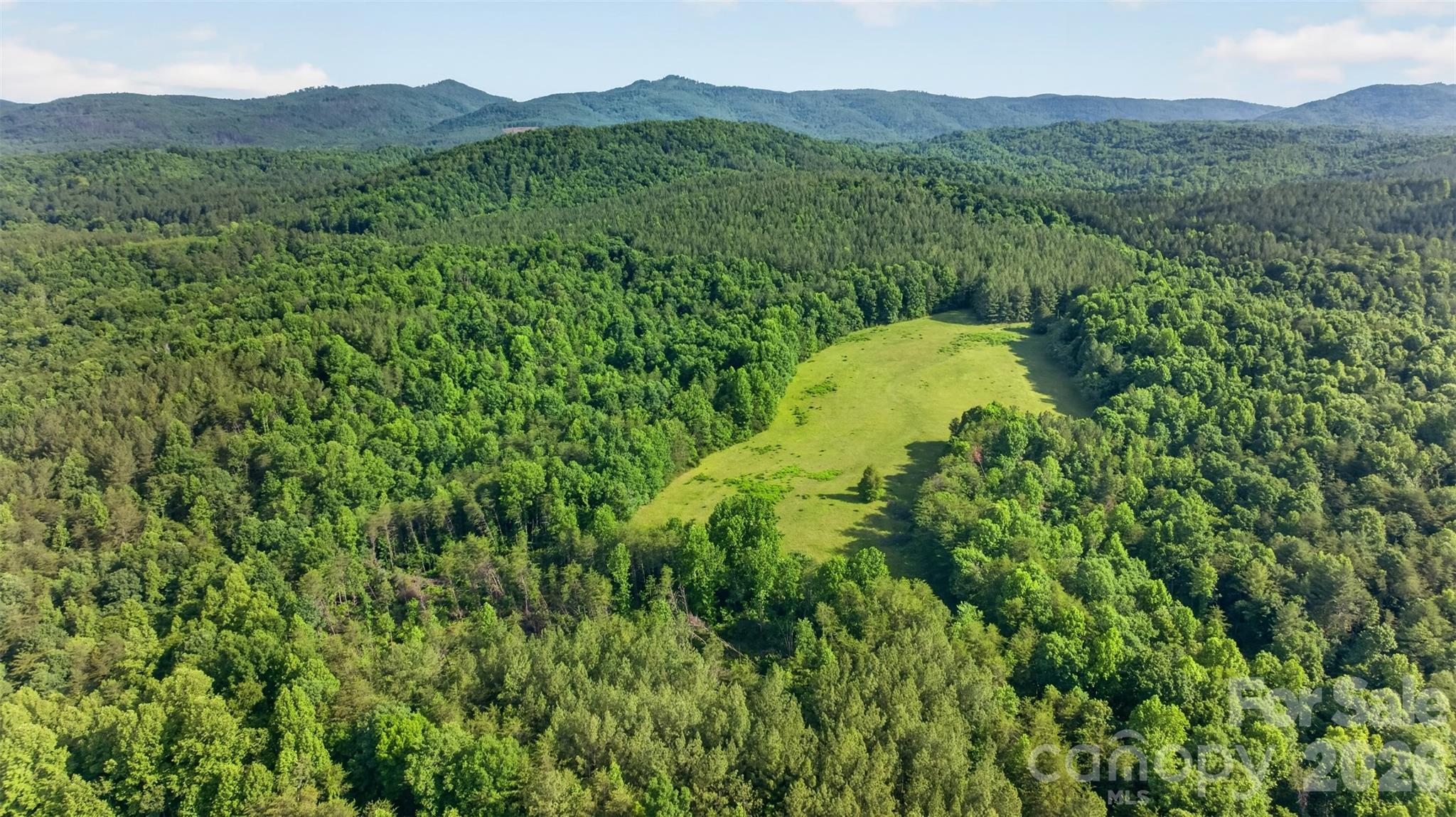 485 Frog Creek Road Union Mills, NC 28167 - Photo 8 of 44