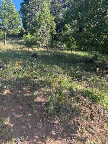 $15,000 | 0 Eastview Drive, Tuolumne, CA 95379