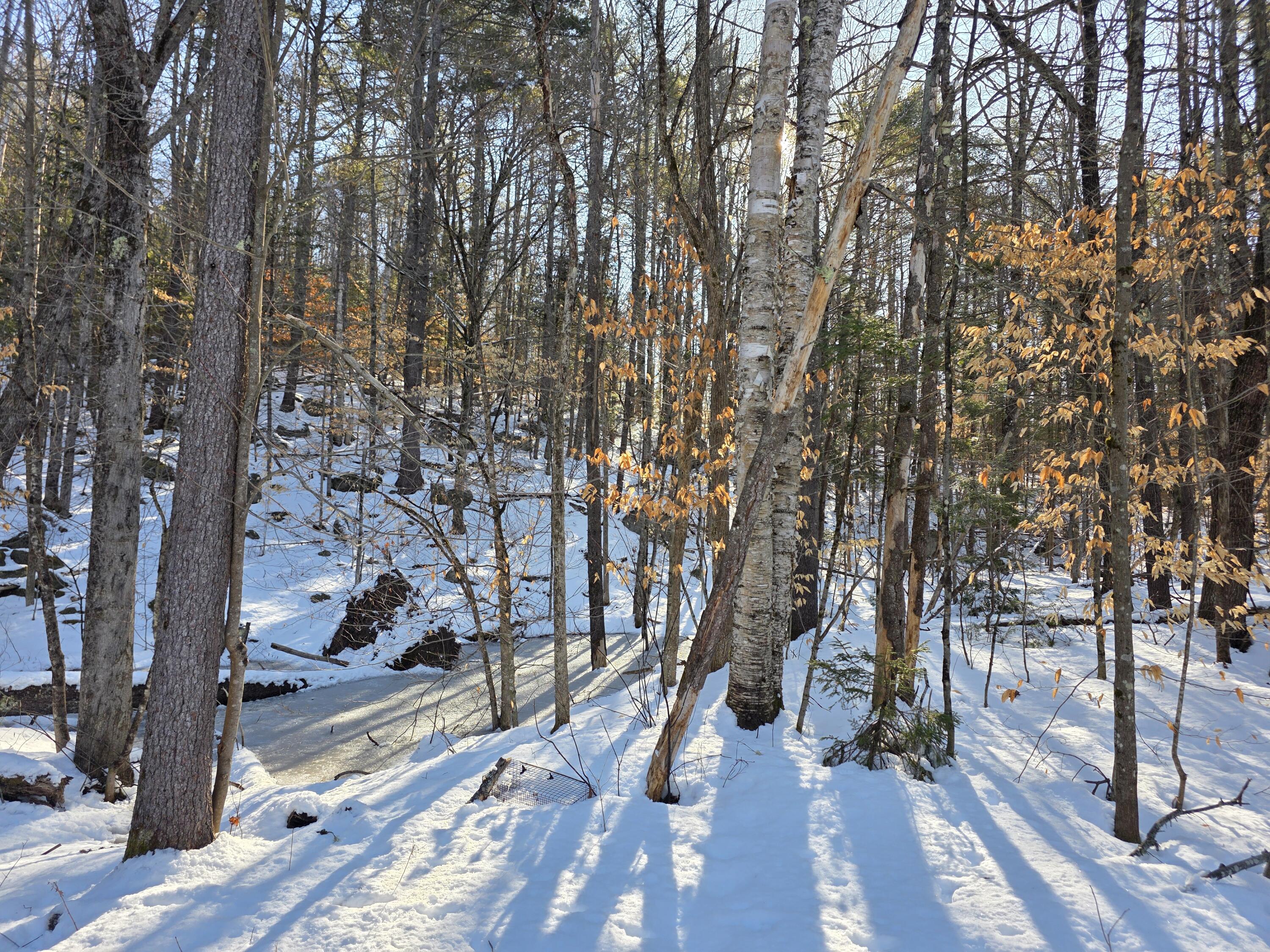 135 Gore Road Oxford, ME 04270 - Photo 9 of 18 20260325_090804