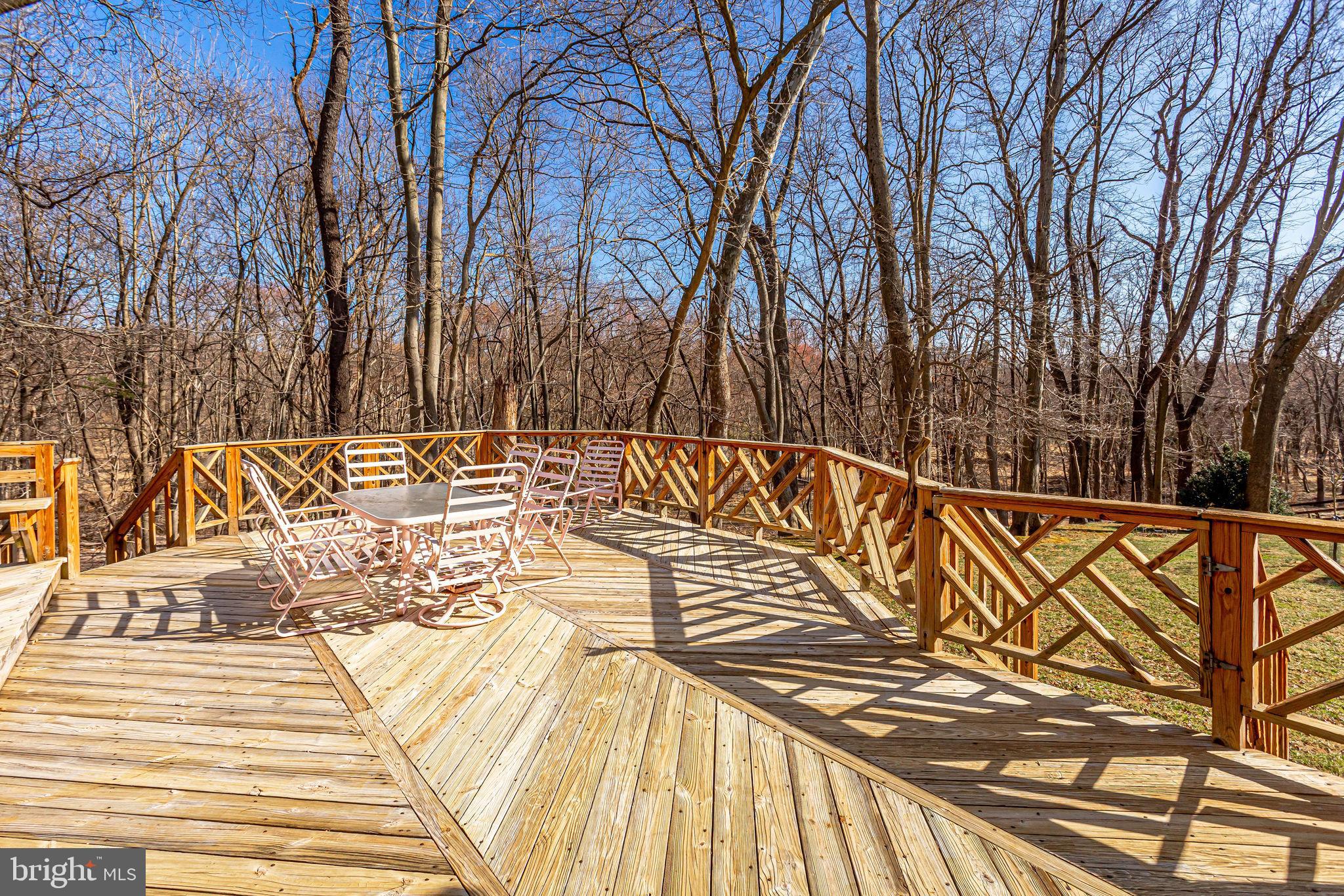 14422 Pebblestone Drive Silver Spring, MD 20905 - Photo 4 of 64