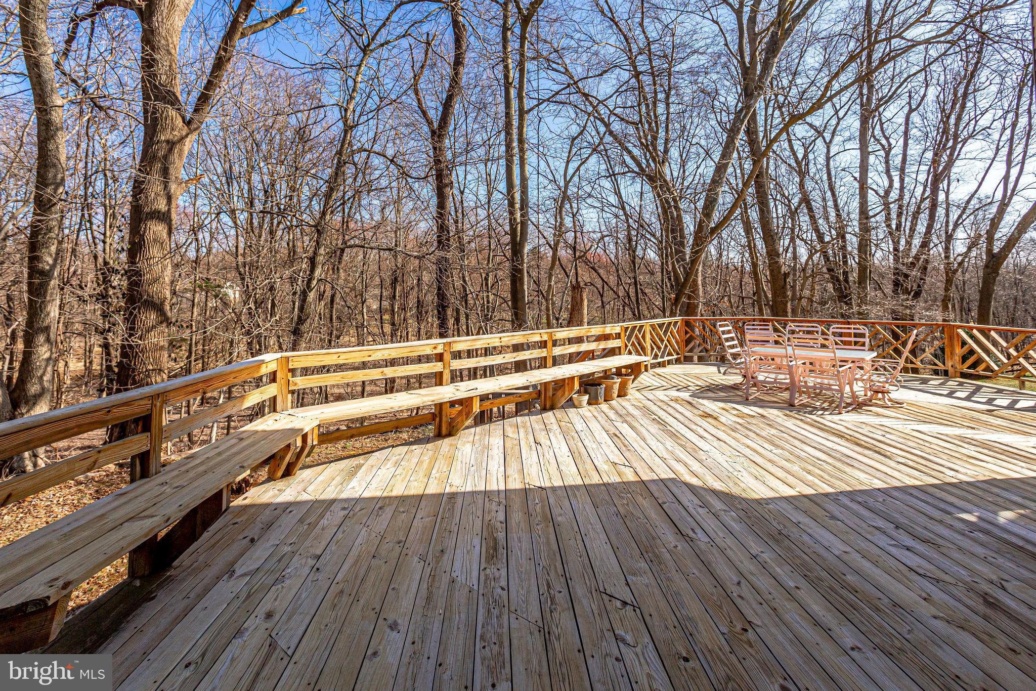 14422 Pebblestone Drive Silver Spring, MD 20905 - Photo 5 of 64