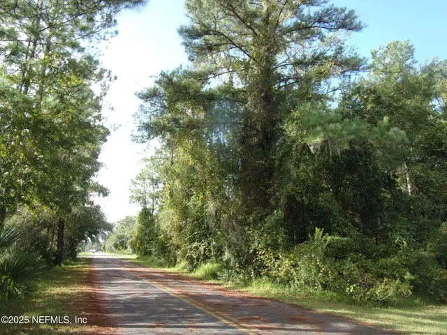 a view of a yard with plants and tree