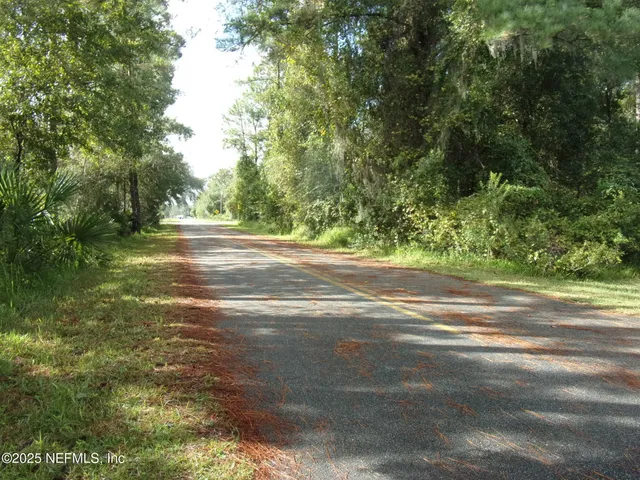 a view of a big yard with large trees