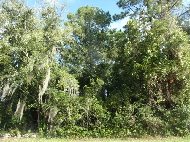 $44,000 | 0 San Mateo Road, Satsuma, FL 32189