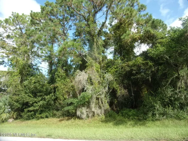 $44,000 | 0 San Mateo Road, Satsuma, FL 32189