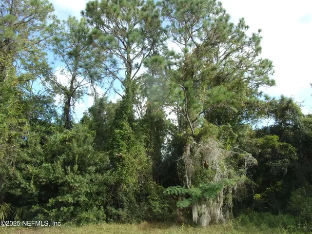 a view of a green yard