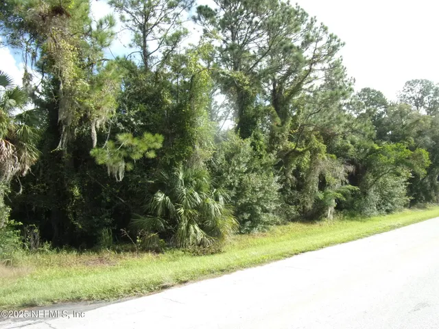 a view of a yard with plants and large trees