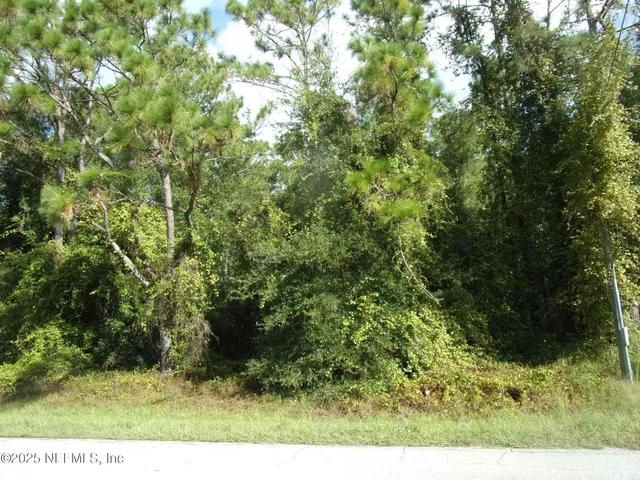 a view of a field of grass and trees