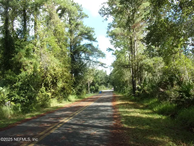 a view of a yard with plants and large trees