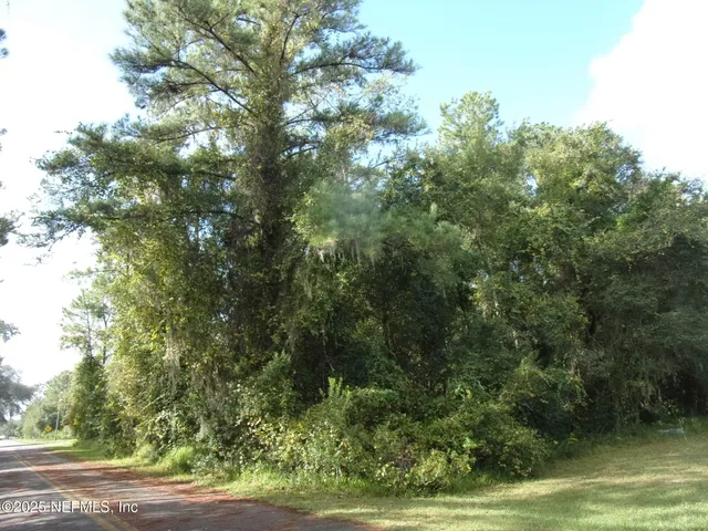 a view of road and yard