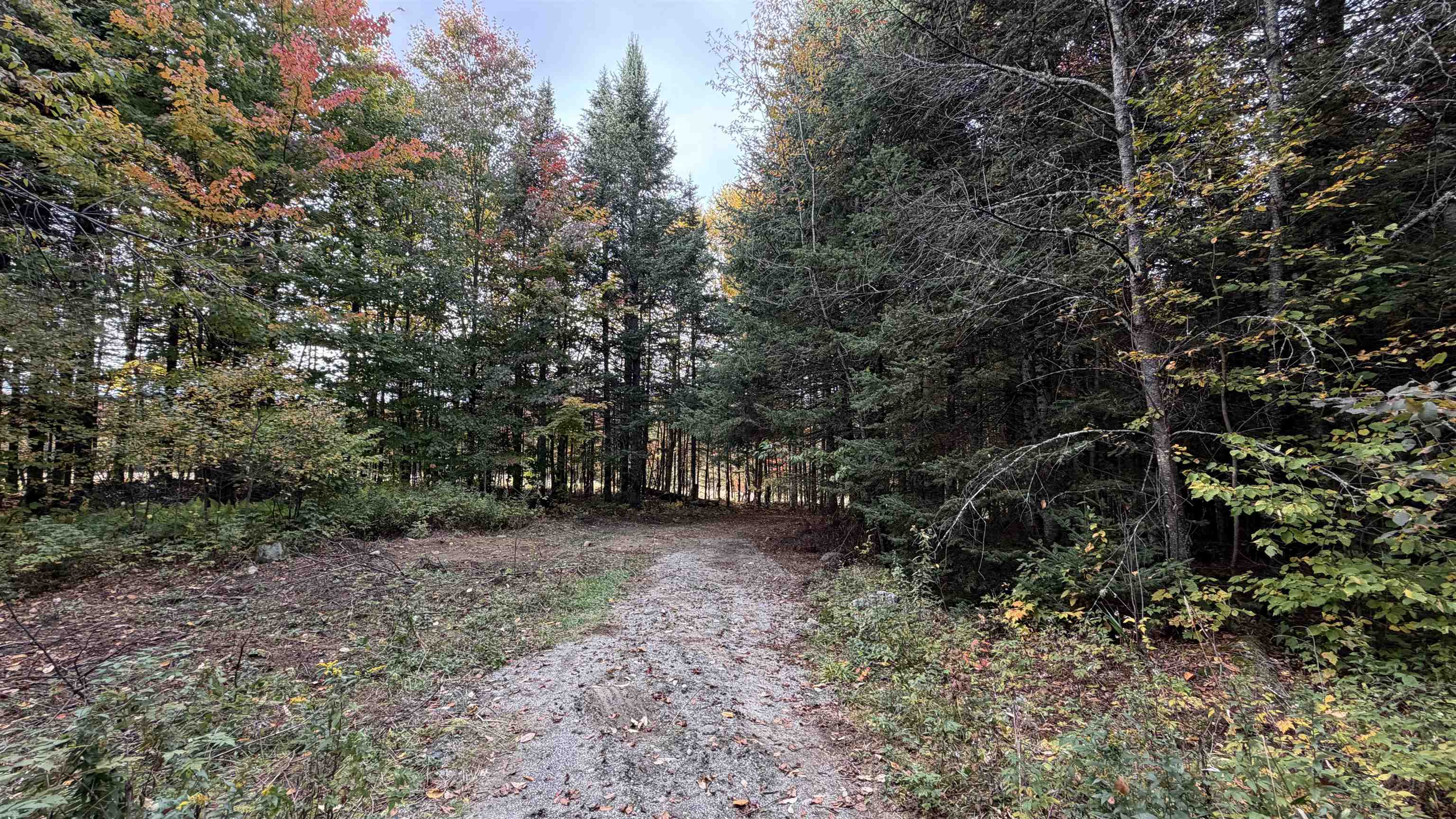0 Shadow Lake Road Glover, VT 05839 - Photo 57 of 59 Gallery Image 57