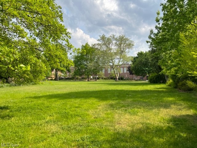 15901 Onaway Road Cleveland, OH 44120 - Photo 4 of 4 About midway to the front of the lot.