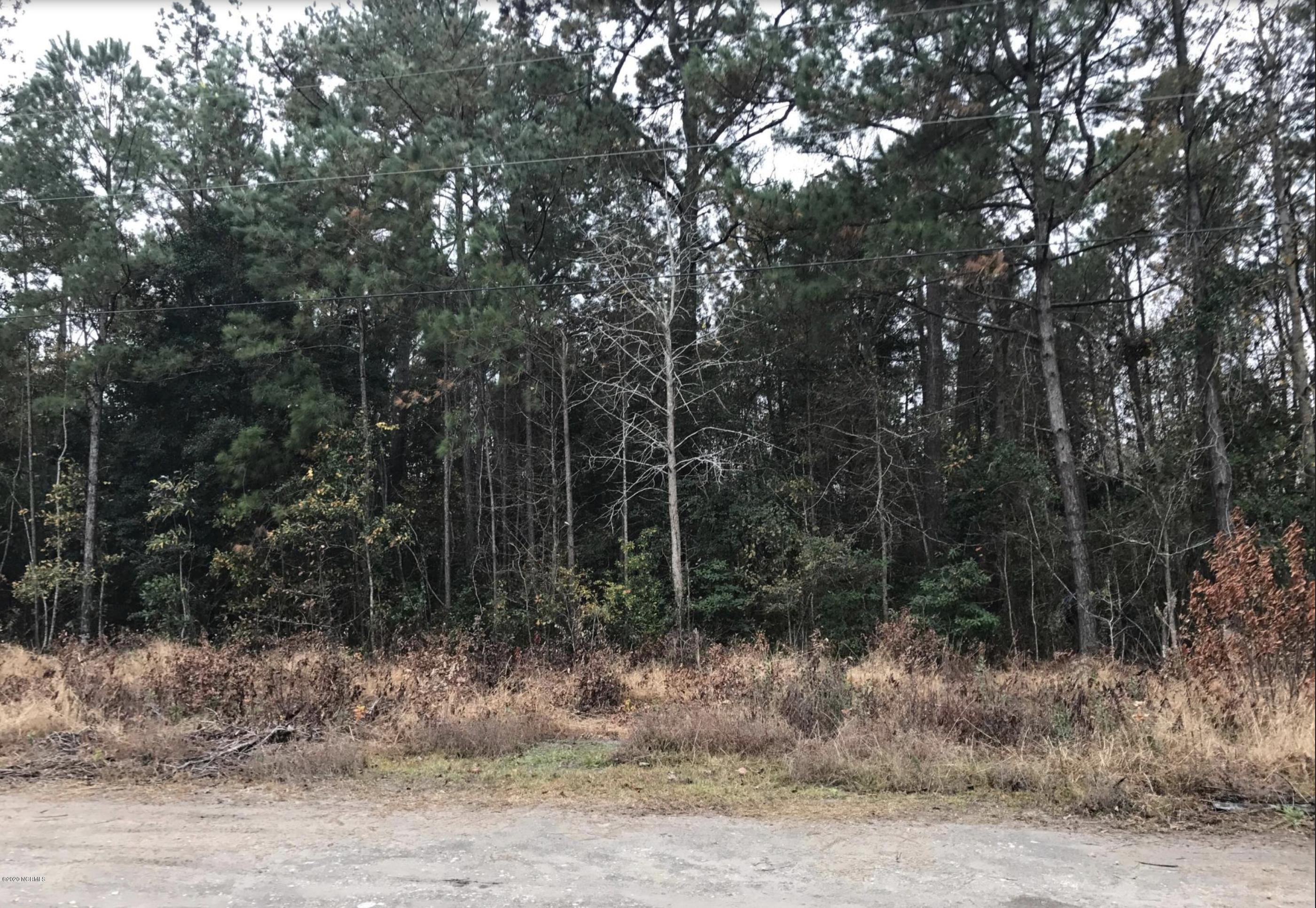 7 J E Batson Road Hampstead, NC 28443 - Photo 1 of 1 Wooded 1 acre lot