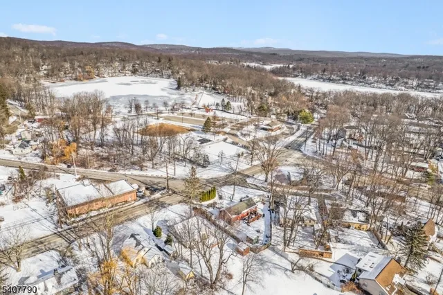 an aerial view of residential houses with outdoor space and trees