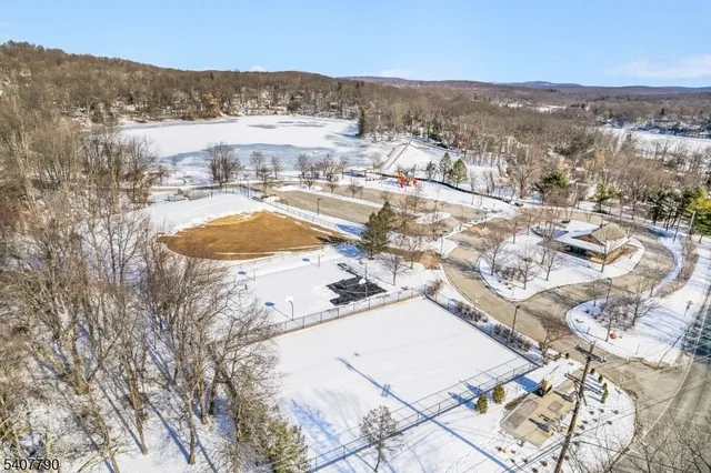 an aerial view of residential houses with outdoor space and trees