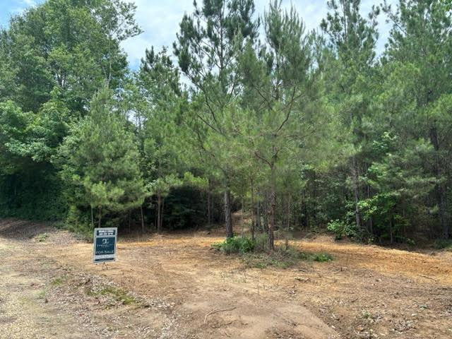 0 East Lewiston Road Kentwood, LA 70444 - Photo 15 of 26 Photo 16