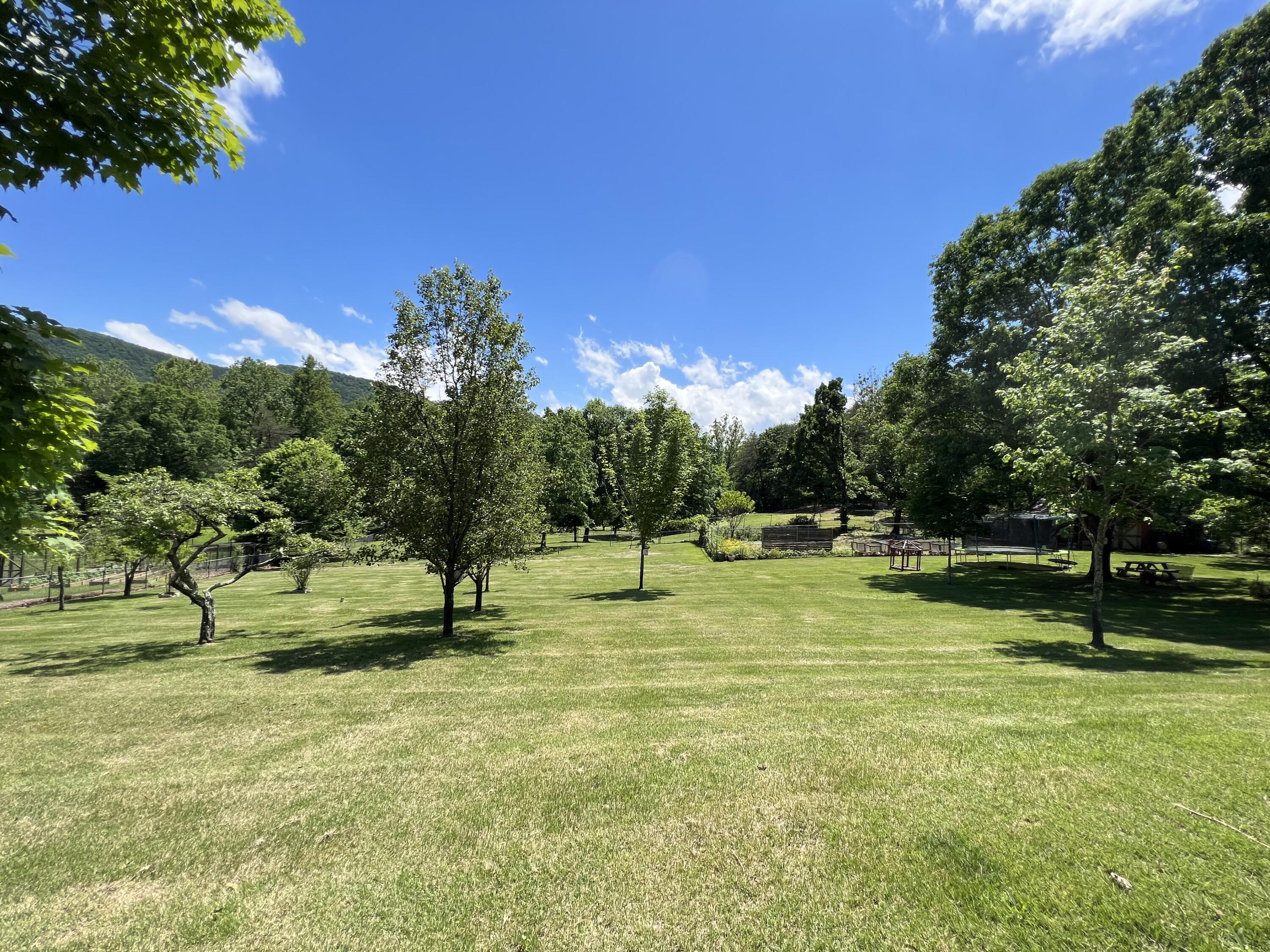 3619 Absalom Smith Road Salem, VA 24153 - Photo 33 of 41 IMG_3752
