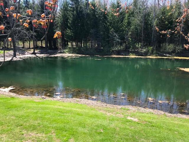 11300 Cedar Lake Road Fenwick, MI 48834 - Photo 6 of 29 att.eJAAOmICQCklqCHtbhqLfTDjmwb_qa-ji_Oe