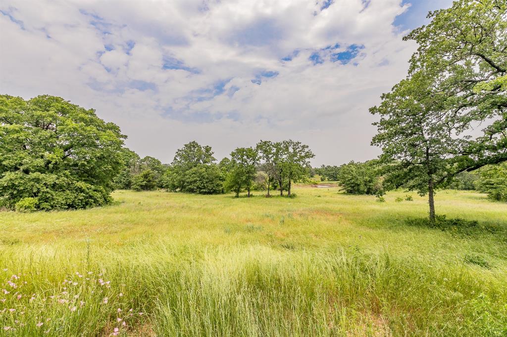 155 Corado Road Montague, TX 76251 - Photo 27 of 36 a view of an ocean from a yard