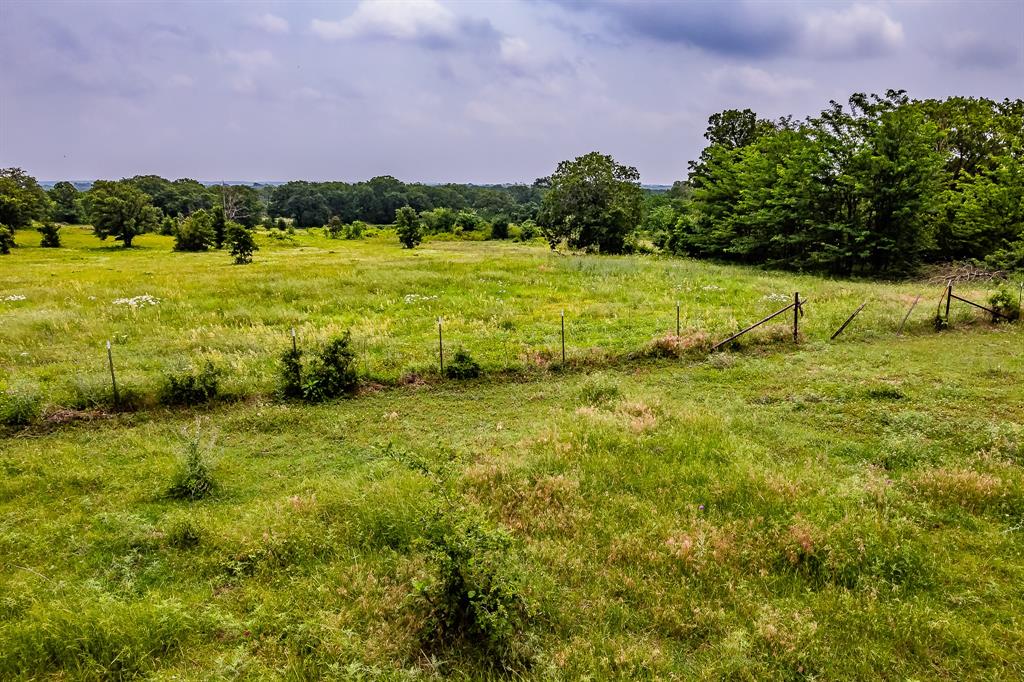 155 Corado Road Montague, TX 76251 - Photo 32 of 36 a view of a lush green field