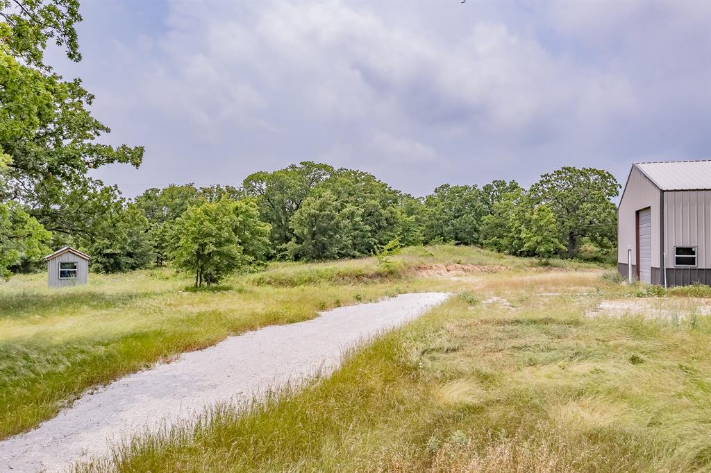 155 Corado Road Montague, TX 76251 - Photo 35 of 36 a view of a yard with an trees