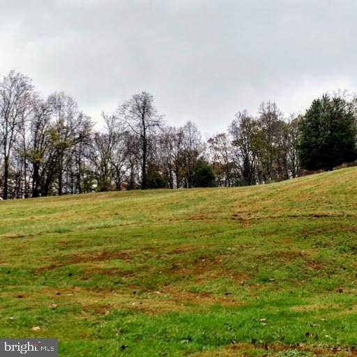 16710 Wesley Chapel Road Monkton, MD 21111 - Photo 22 of 27 Large Pasture