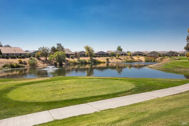 a view of a lake with a big yard and large tree