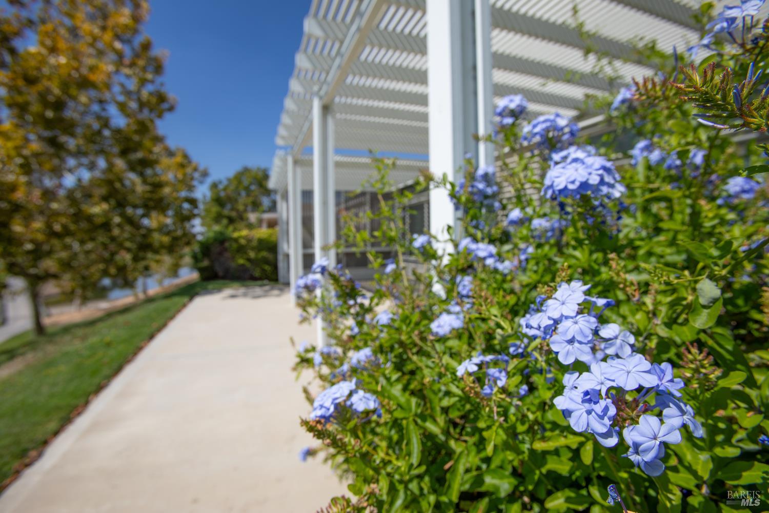 319 Cedar Ridge Drive Rio Vista, CA 94571 - Photo 13 of 69