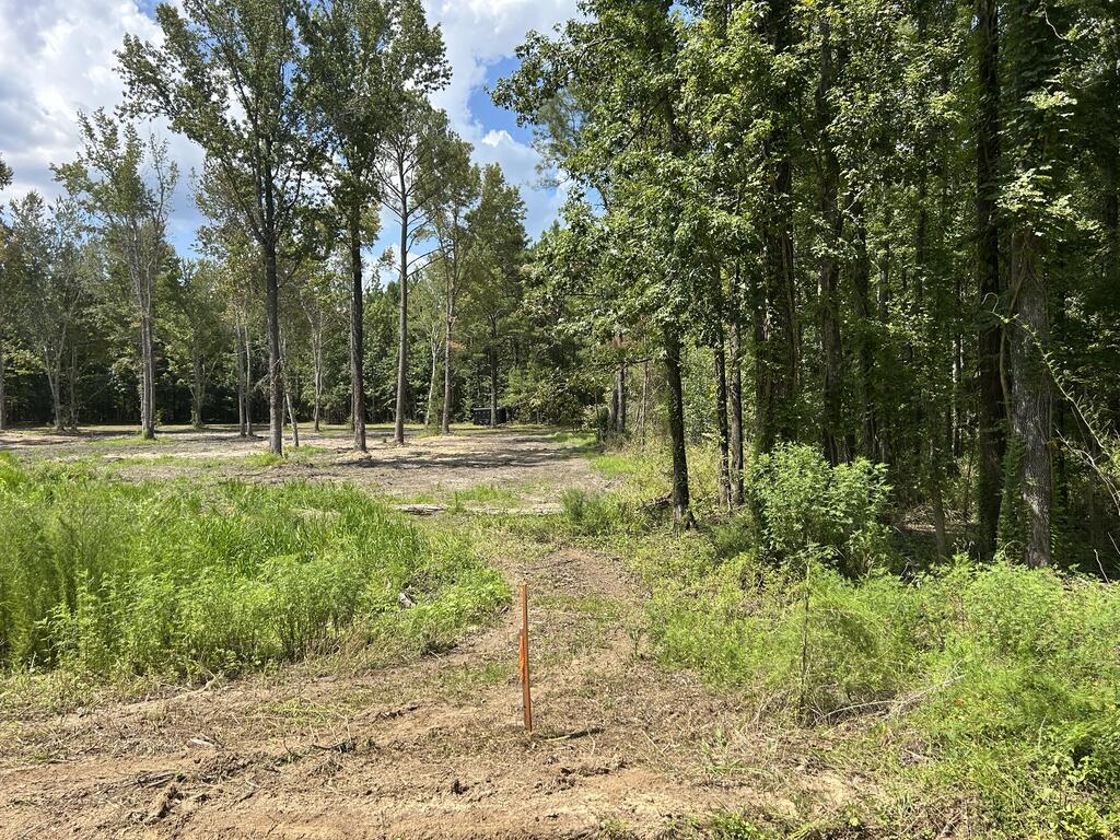 644 Case Road Slocomb, AL 36375 - Photo 8 of 24 Gallery Image 8