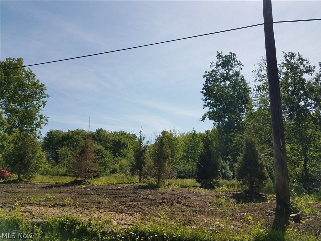 Sumner Road Thompson, OH 44086 - Photo 5 of 24