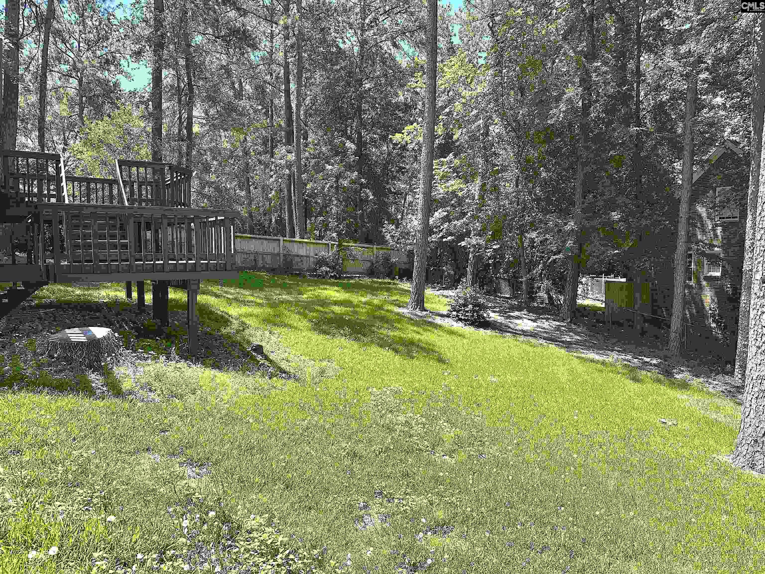 100 Ripley Station Road Columbia, SC 29212 - Photo 7 of 24