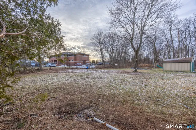 a view of a yard with large trees