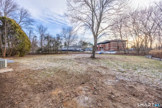 a view of a yard with a house and a large tree
