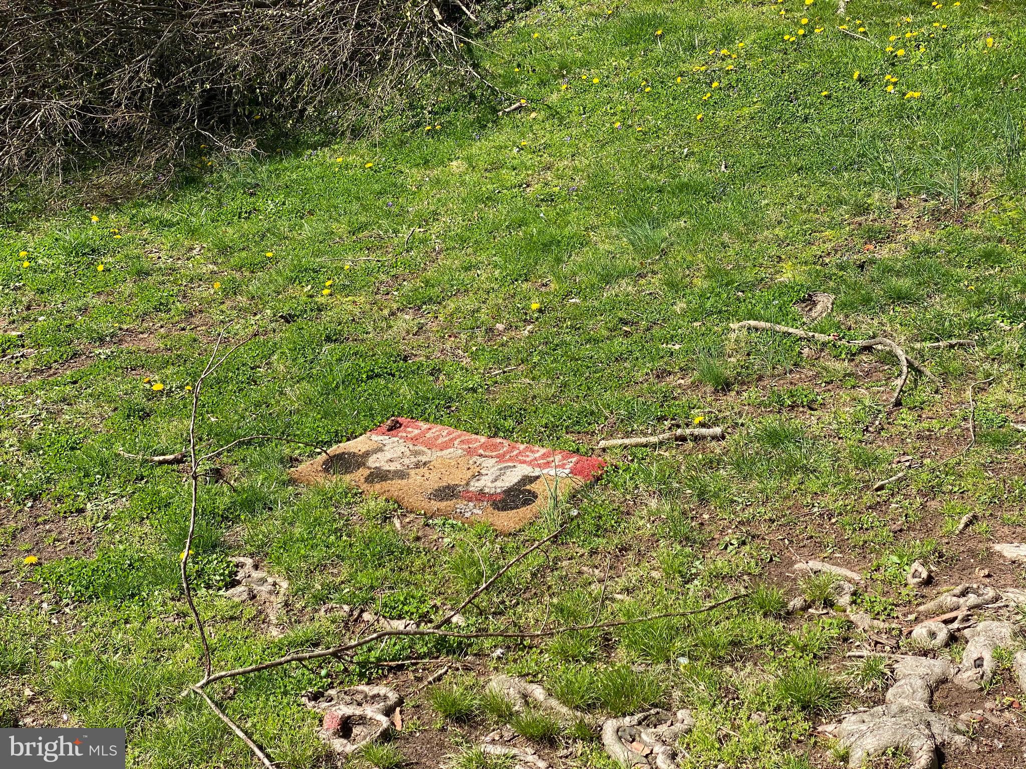 2713 Sheraton Street Silver Spring, MD 20906 - Photo 73 of 121