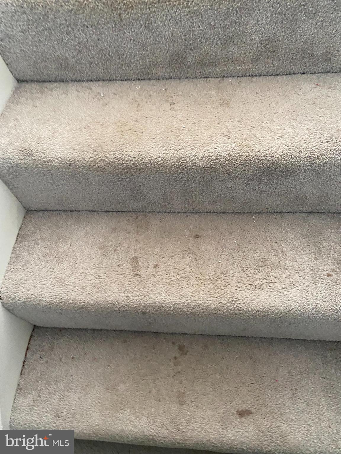 2713 Sheraton Street Silver Spring, MD 20906 - Photo 78 of 121