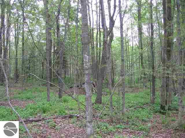 7386 Cunningham Road Northeast Mancelona, MI 49659 - Photo 4 of 14 1717110-3.JPG