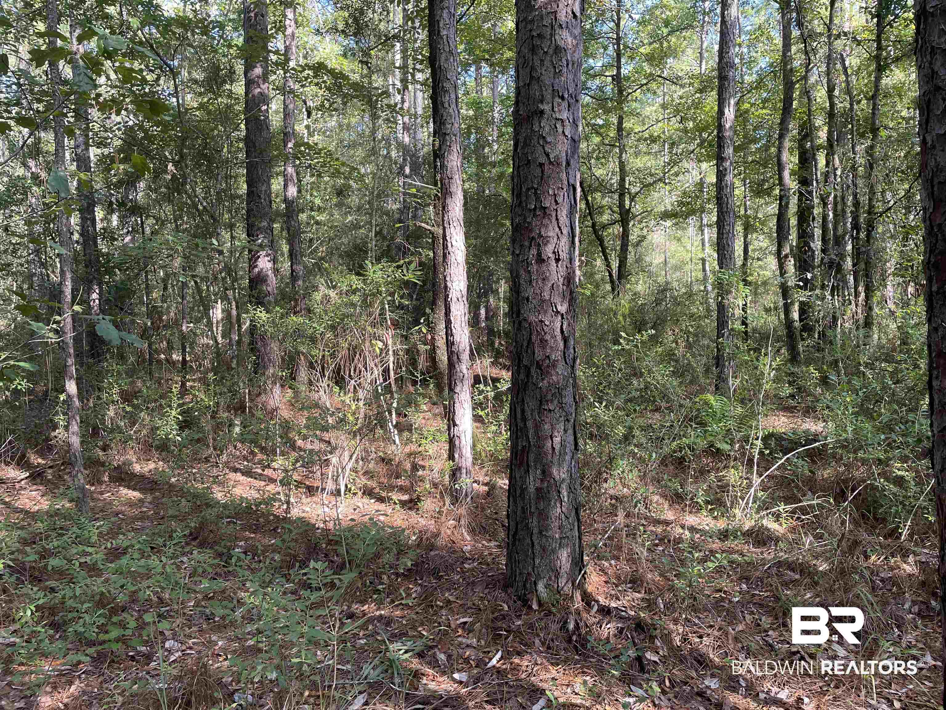 0 North Highway 43 Axis, AL 36505 - Photo 2 of 15
