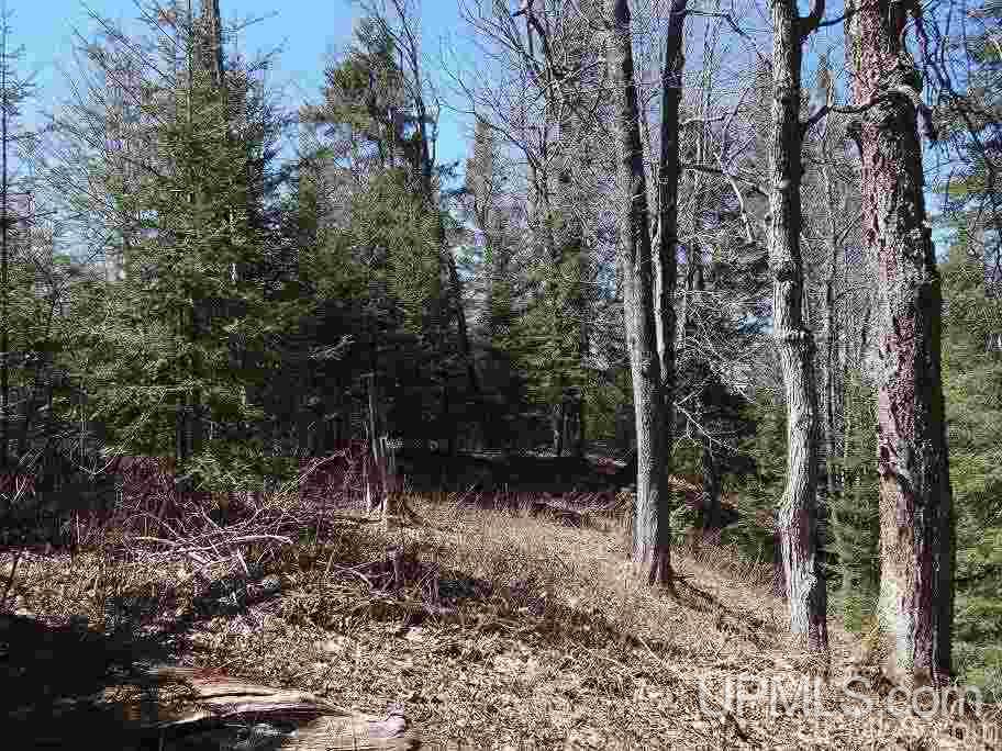Tbd Celotex Road Michigamme, MI 49946 - Photo 16 of 25