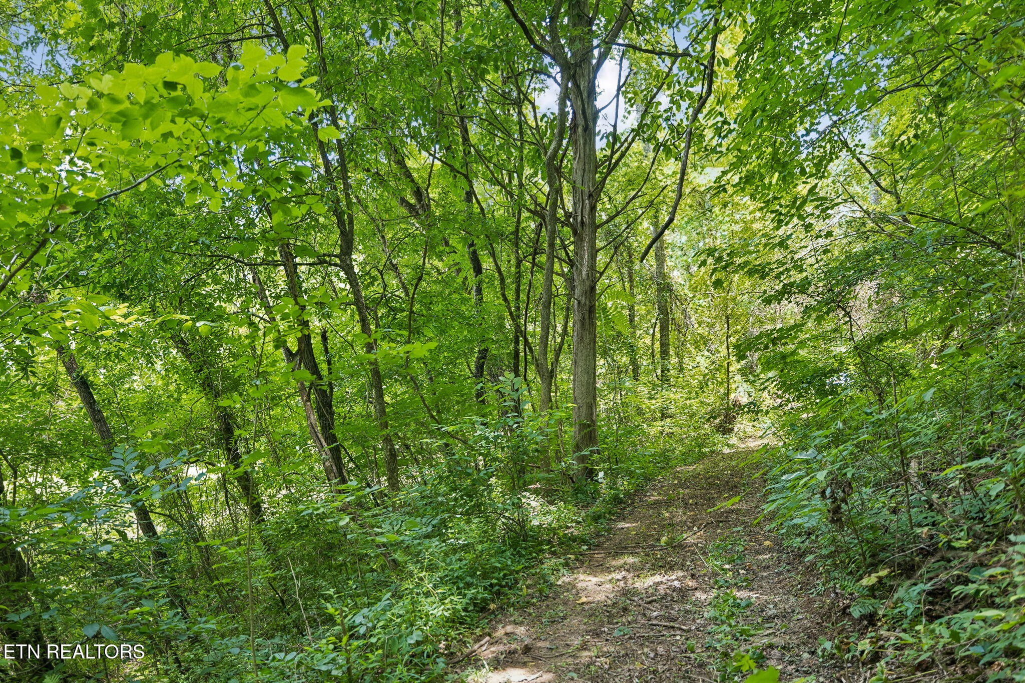 0 Knob Road Rutledge, TN 37861 - Photo 26 of 46