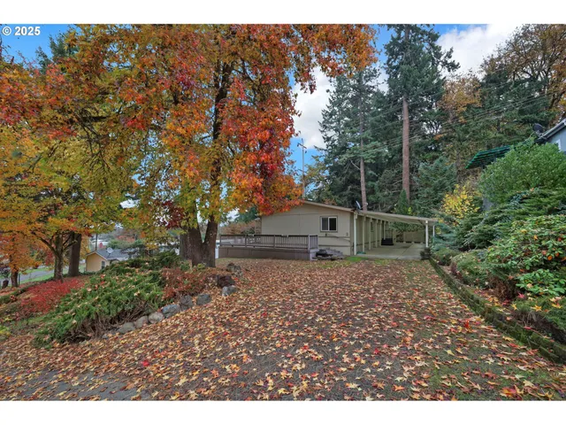 a backyard of a house with lots of green space