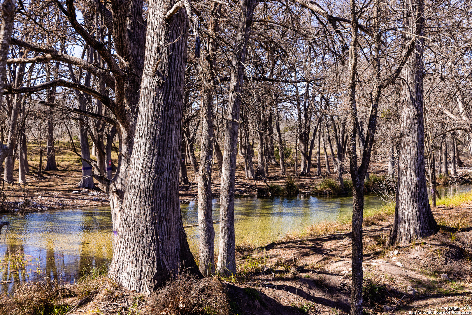 2800 Little Dry Frio Road Rio Frio, TX 78879 - Photo 23 of 25