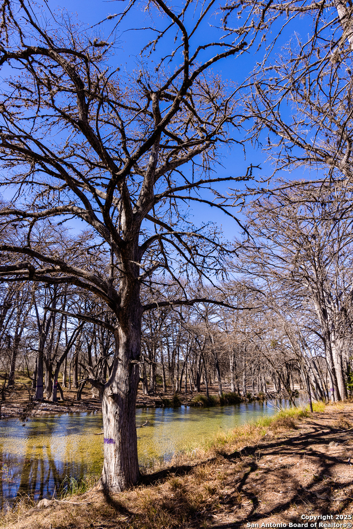2800 Little Dry Frio Road Rio Frio, TX 78879 - Photo 24 of 25