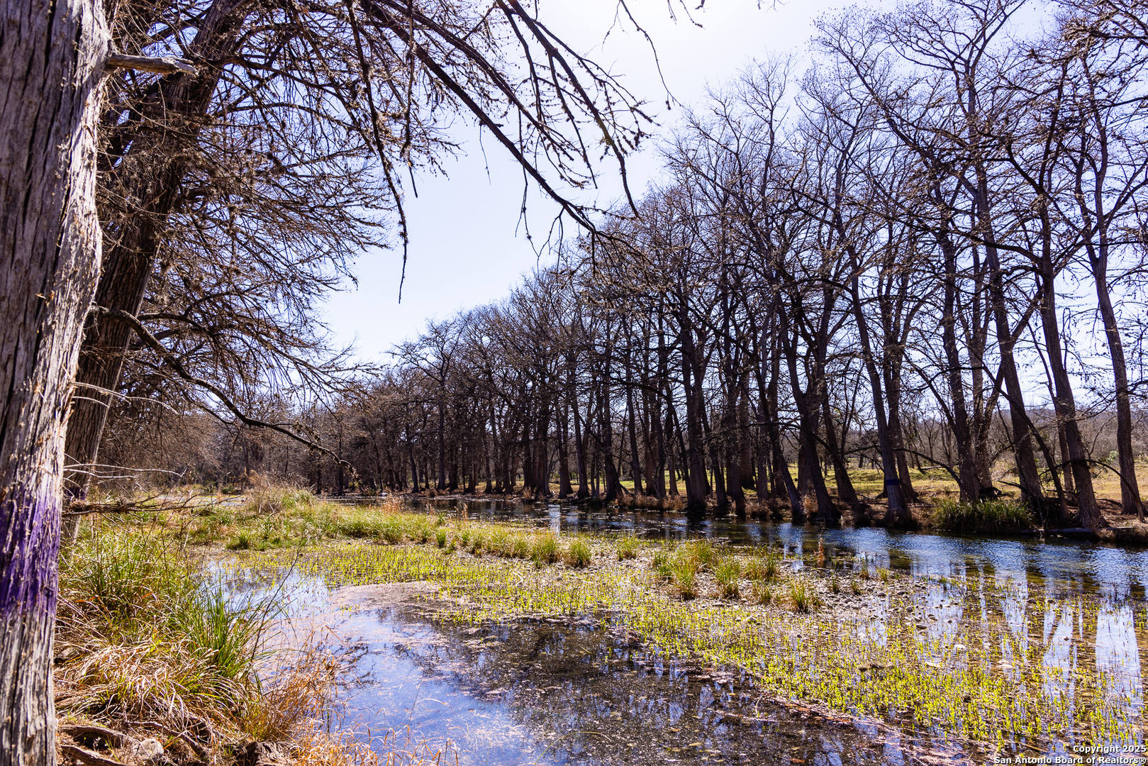 2800 Little Dry Frio Road Rio Frio, TX 78879 - Photo 3 of 25