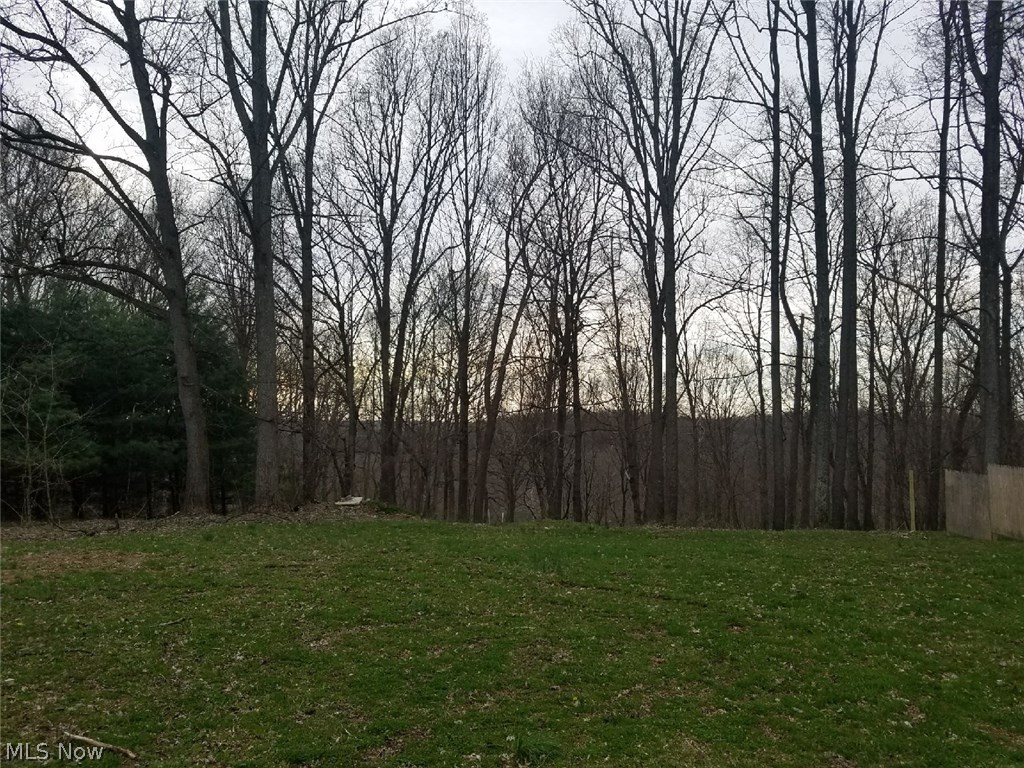 1638 Genteel Ridge Road Wellsburg, WV 26070 - Photo 34 of 35