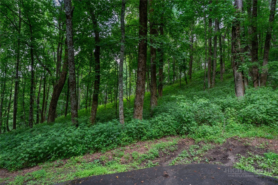 Lot 4 Old Orchard Road Lenoir, NC 28645 - Photo 18 of 23