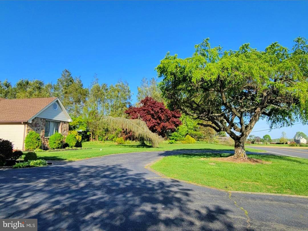 199 Shoemaker Road Bridgeton, NJ 08302 - Photo 7 of 44